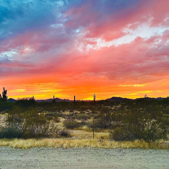 Meet your Posher, Nicole - Picture 16 of 16